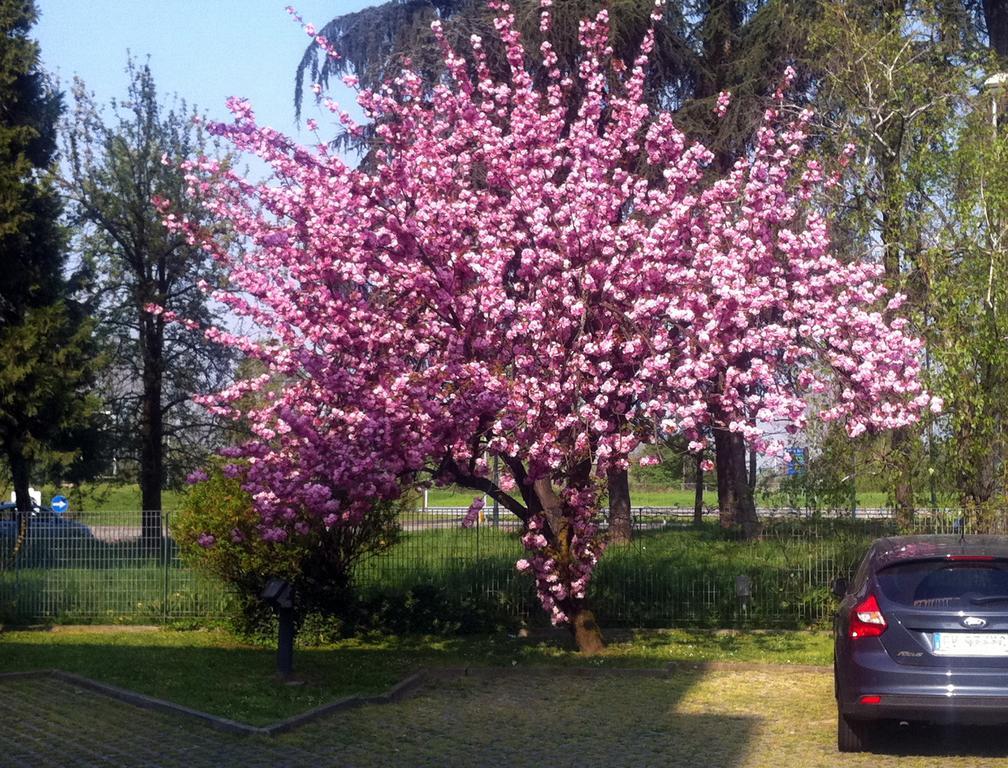 Hotel Forum Rozzano Buitenkant foto